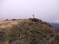hiena dell Asino20100912 118